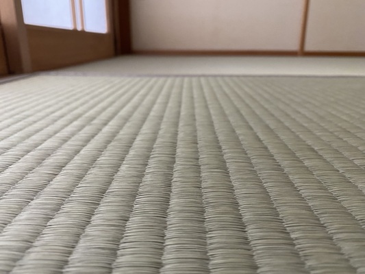 畳表(熊本産畳表 中)の画像