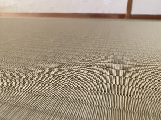 畳表（ダイケン和紙畳表 若草色）の画像