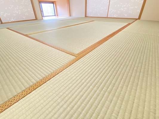 畳表替（熊本産畳表 中）の画像