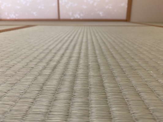 畳表（熊本産畳表 中）の画像