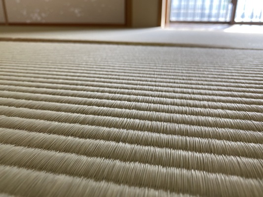 畳表（熊本産畳表 中）の画像