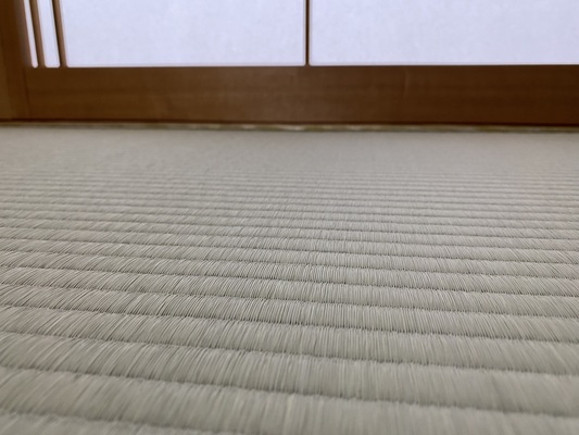 畳表（熊本産畳表 上）の画像