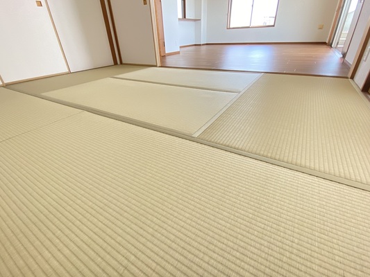 畳表替（ダイケン和紙畳表 若草色）の画像