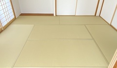 畳表替（ダイケン和紙畳表 若草色）のサムネイル画像