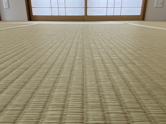畳表（ダイケン和紙畳表 若草色）の画像