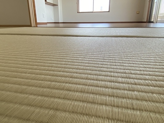 畳表（ダイケン和紙畳表 若草色）の画像