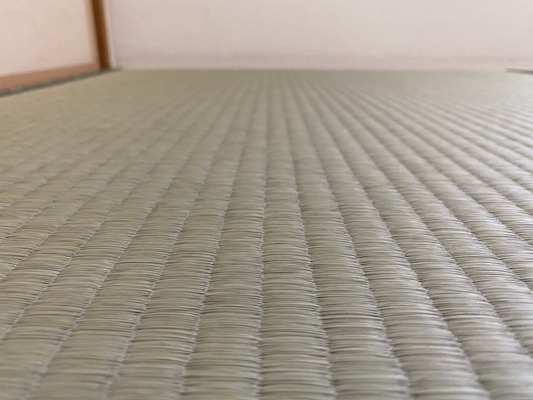畳表(熊本産畳表 中)の画像