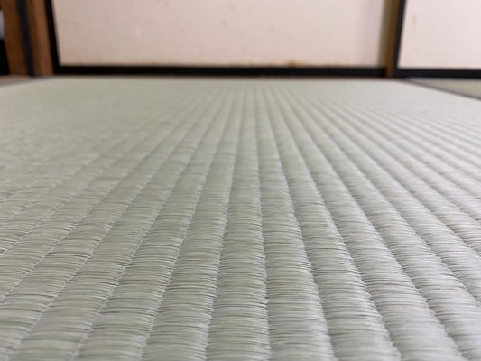 畳表（熊本産畳表 上）の画像